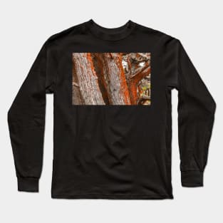 Trees and Moss Long Sleeve T-Shirt